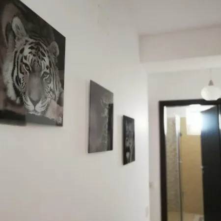 Chic Apartment