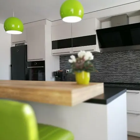 Chic Apartment Brasov