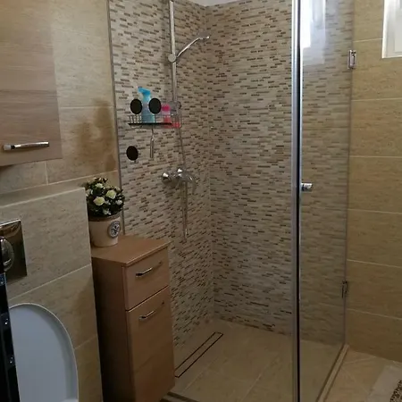 Chic Apartment Brasov